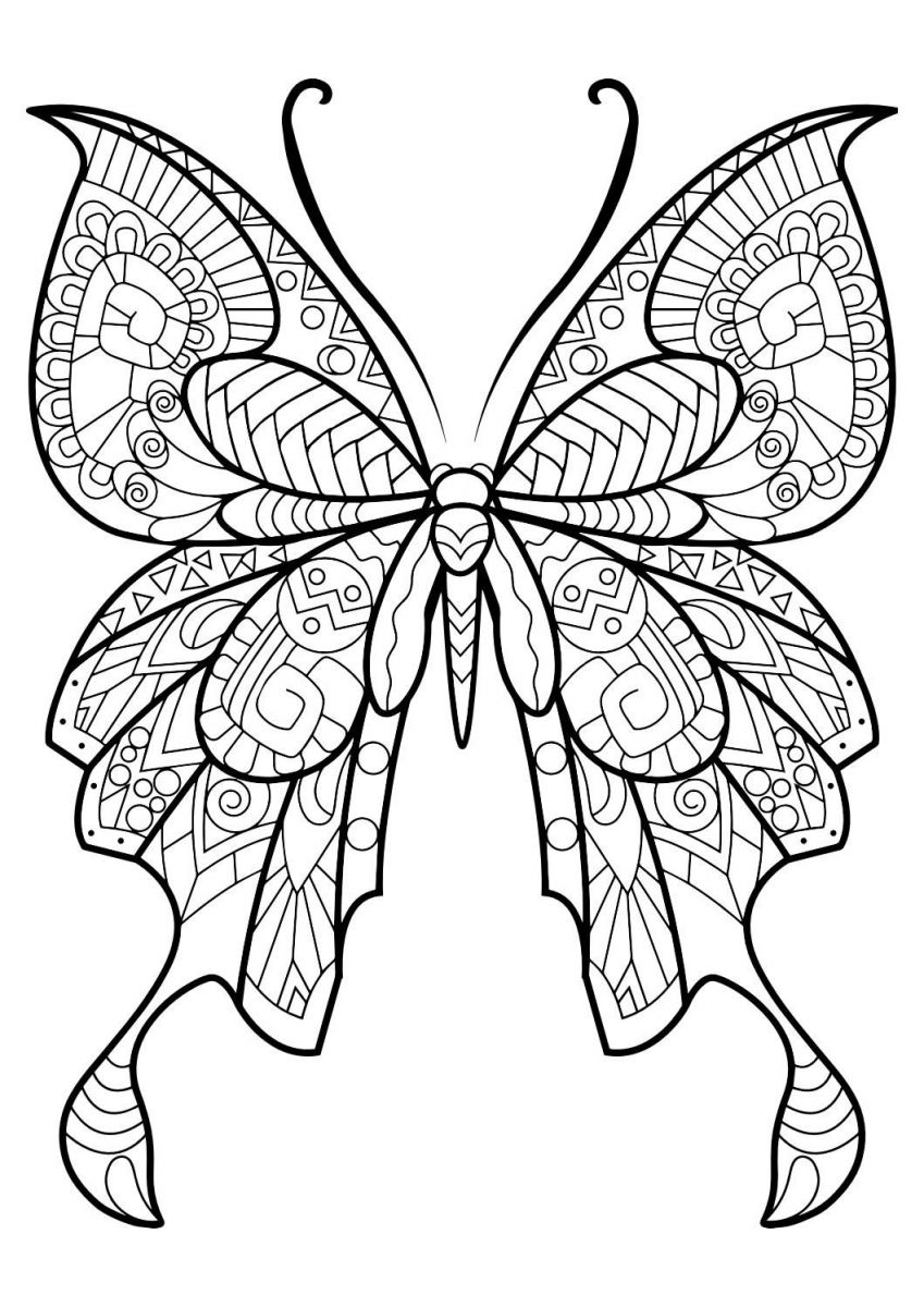 tranh tô color con cái bướm xinh xẻo cho tới bé