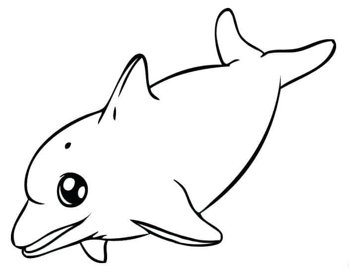 tranh tô màu chú cá heo phù hợp cho bé 3 tuổi